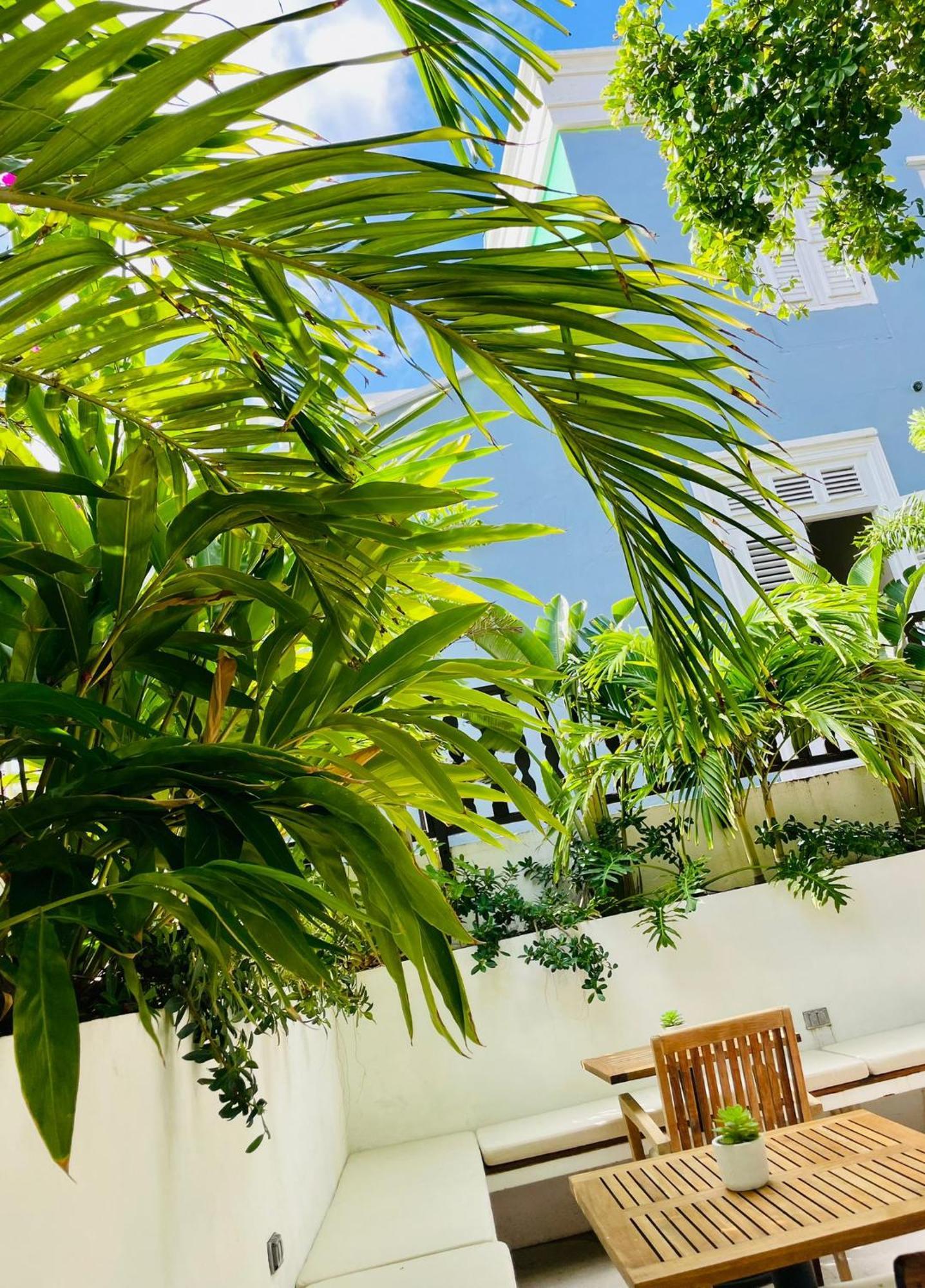 Atelier Skalo Boutique Hotel Willemstad Zewnętrze zdjęcie