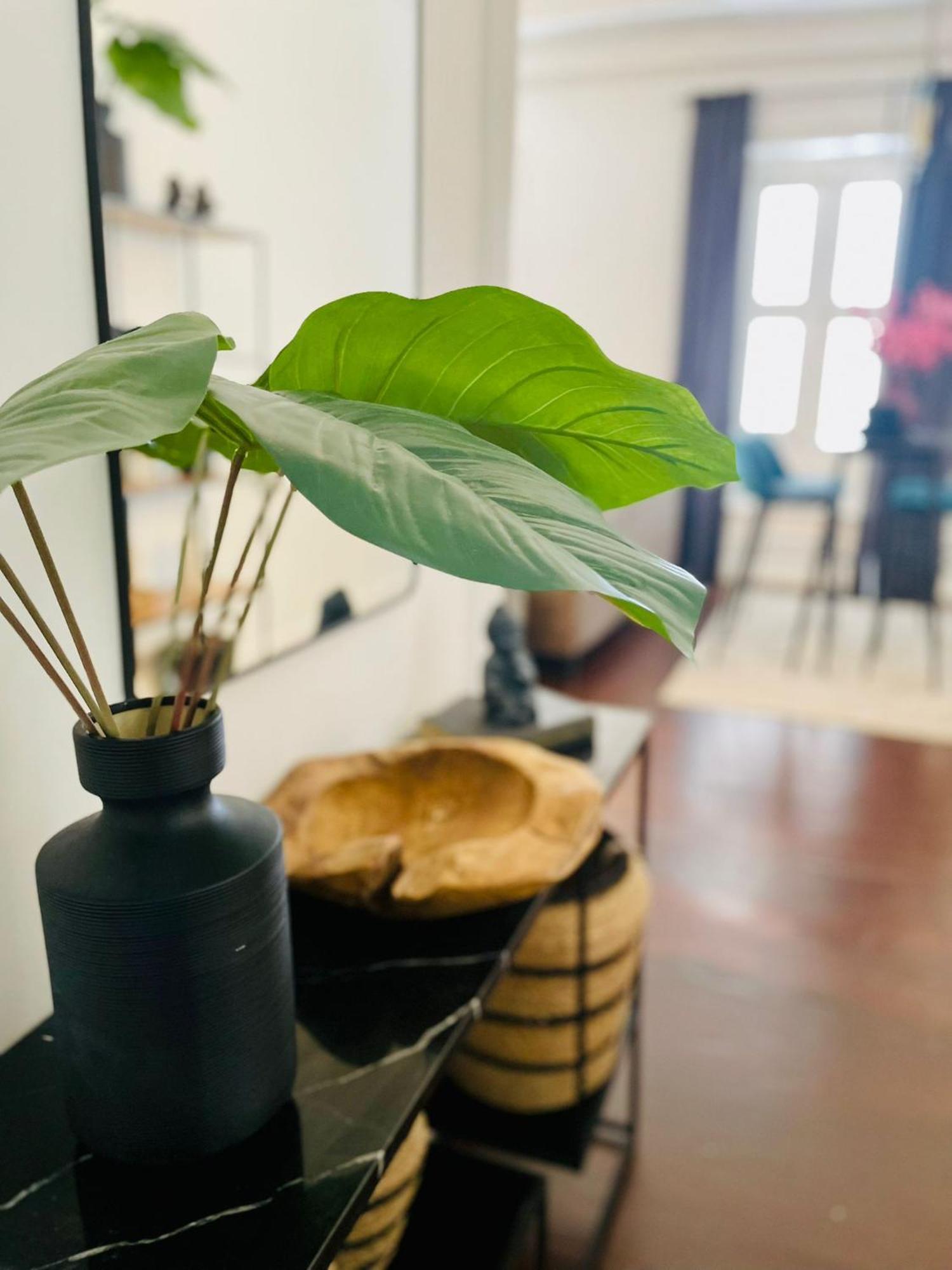 Atelier Skalo Boutique Hotel Willemstad Zewnętrze zdjęcie